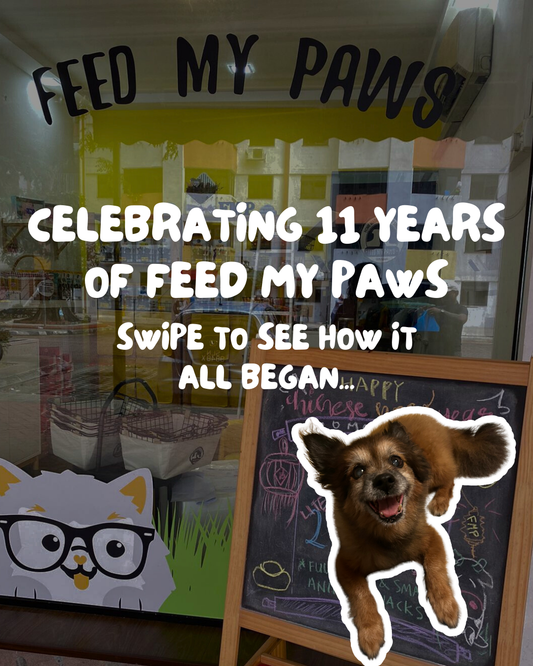 Feed My Paws is 11!