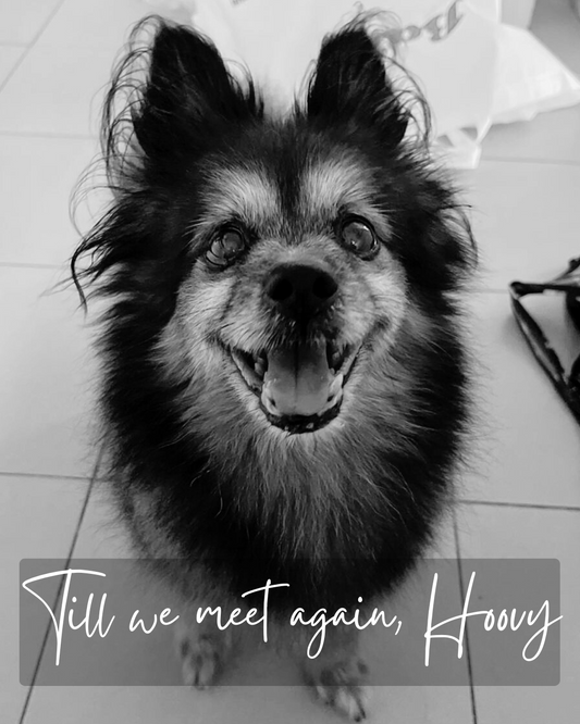 Till we meet again, Hoovy