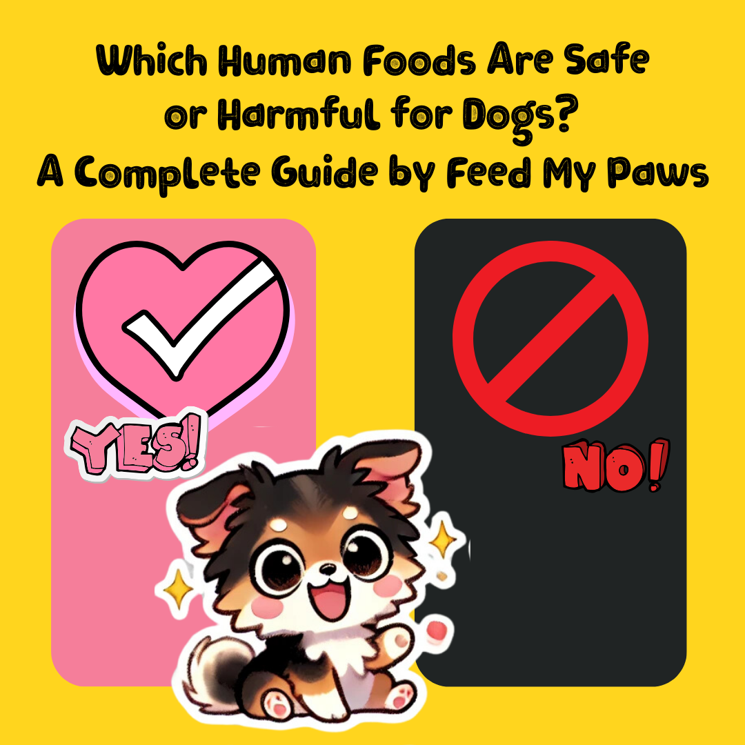 Which Human Foods Are Safe or Harmful for Dogs? A Complete Guide by Feed My Paws