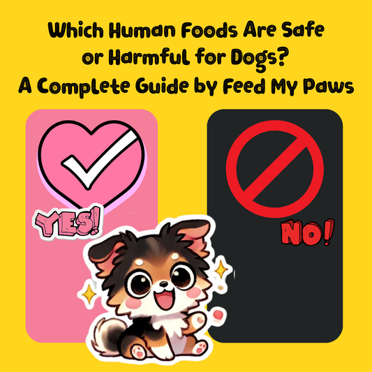 Which Human Foods Are Safe or Harmful for Dogs? A Complete Guide by Feed My Paws