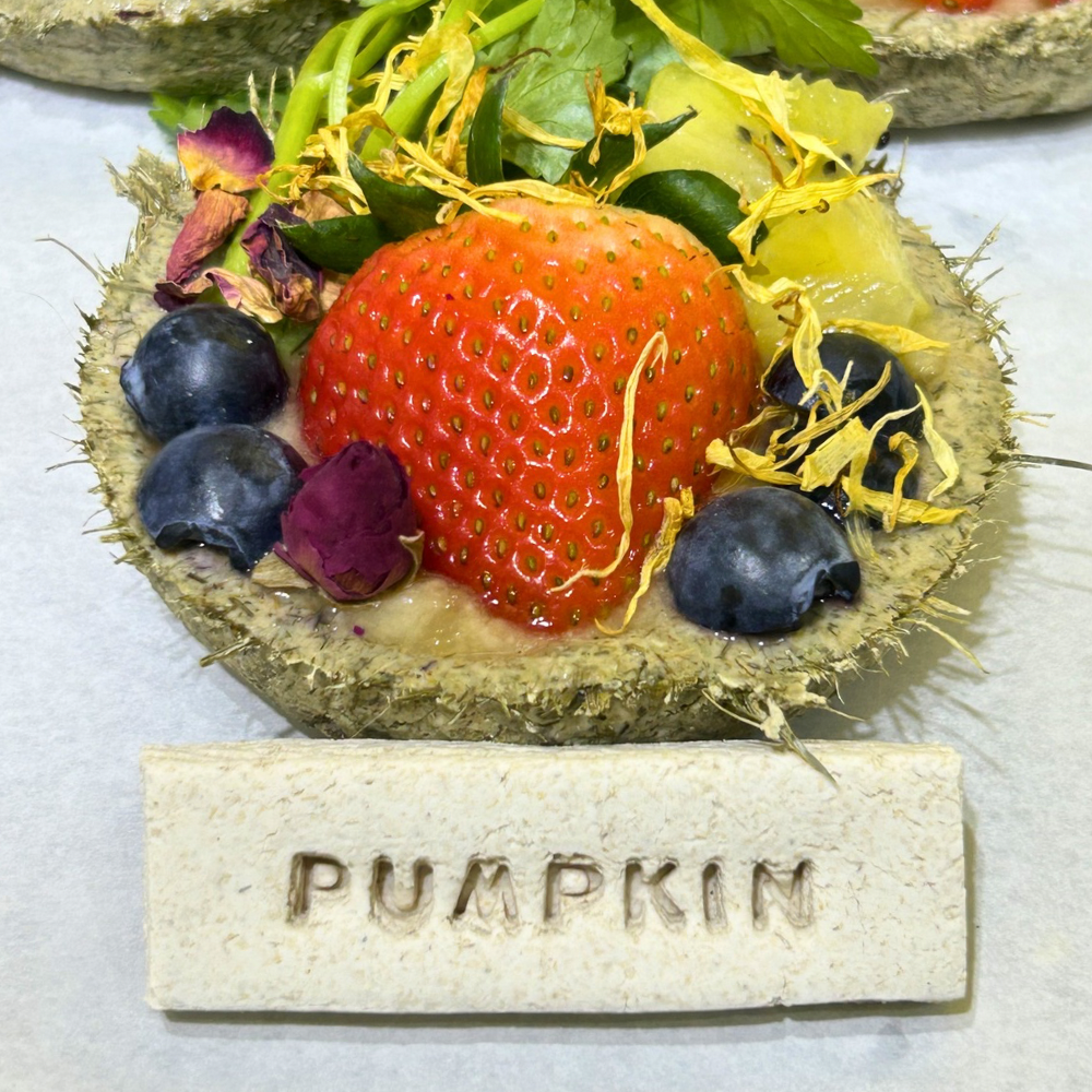 Birthday Fruit Cake (FRESH Tart for hamsters, rabbits, guinea pigs)