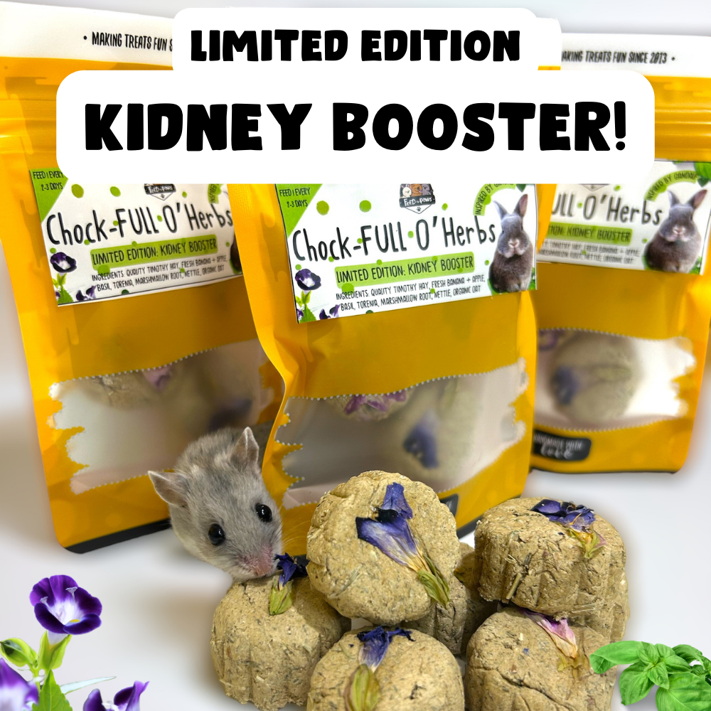 Limited Edition: Chock-full O' Herbs KIDNEY BOOSTER! (for hamsters, rabbits, and guinea pigs)