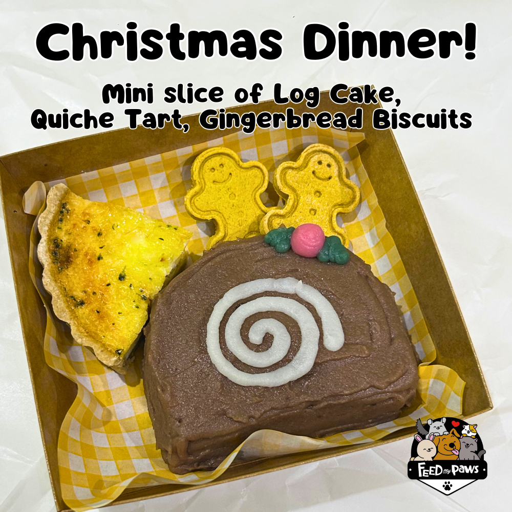 Christmas 2025: Christmas DINNER (for dogs and cats)
