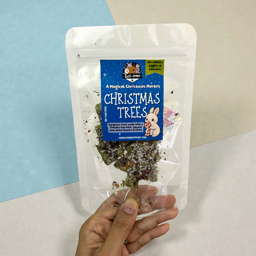 Christmas 2025: Christmas Trees for Rabbits & Guinea Pigs