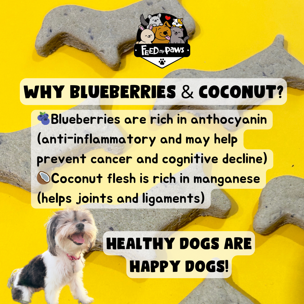 COCO BERRY - Vegan cookie for dogs