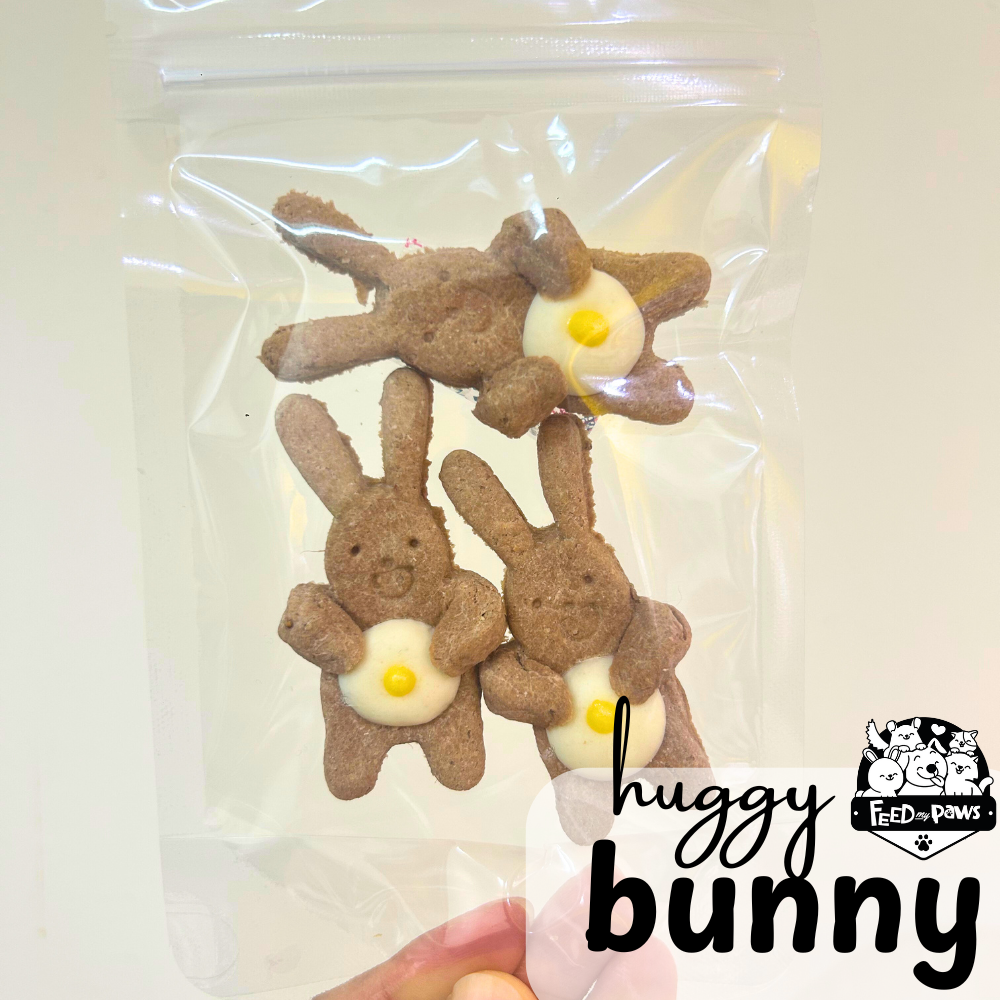 Easter Special: Huggy Bunny (Duck)