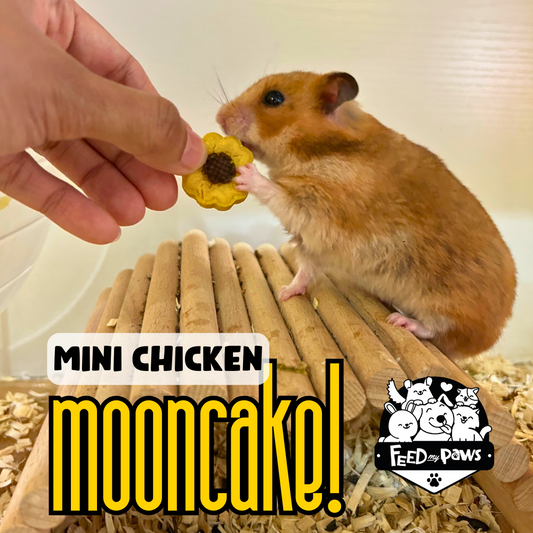 Mini Chicken Mooncake for Hamsters