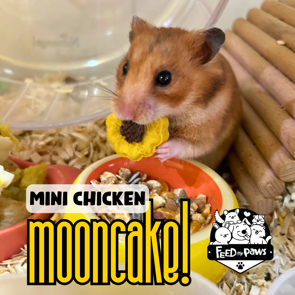 Mini Chicken Mooncake for Hamsters