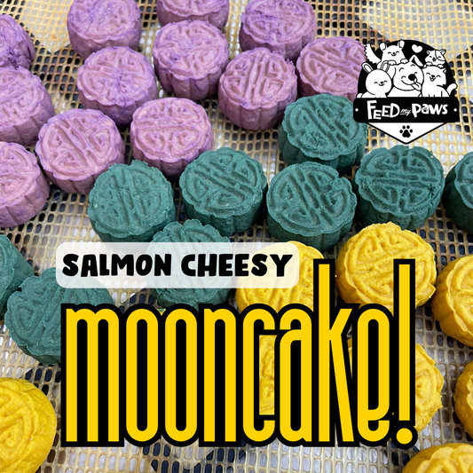 Salmon & Cheese Easy-to-chew Mooncake 2025 (dry treat for dogs & cats)