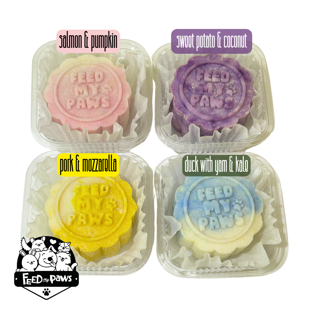SNOWSKIN MOONCAKE 2025 (MSW Durian, Pork, Duck, Salmon, Sweet Potato)