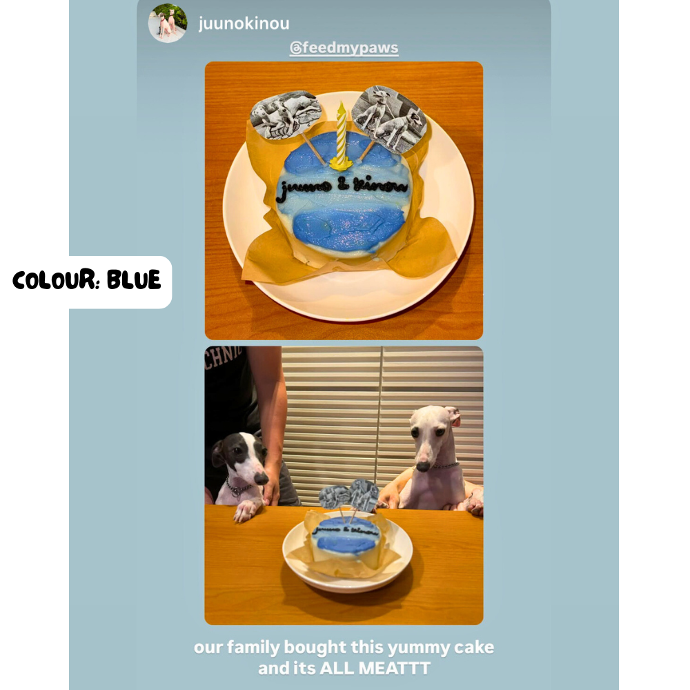 Feed My Paws Singapore | Dog Bakery | Handmade Birthday Cake Dog Puppy | Blue | SG Delivery