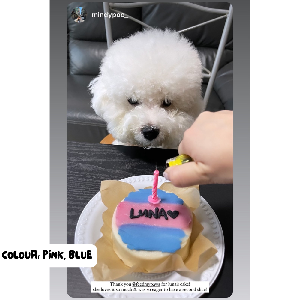 Feed My Paws Singapore | Dog Bakery | Handmade Birthday Cake Dog Puppy | White Dog | Pink Blue Cake | SG Delivery