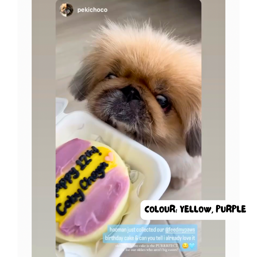 Feed My Paws Singapore | Dog Bakery | Handmade Birthday Cake Dog Puppy | Yellow Purple | SG Delivery