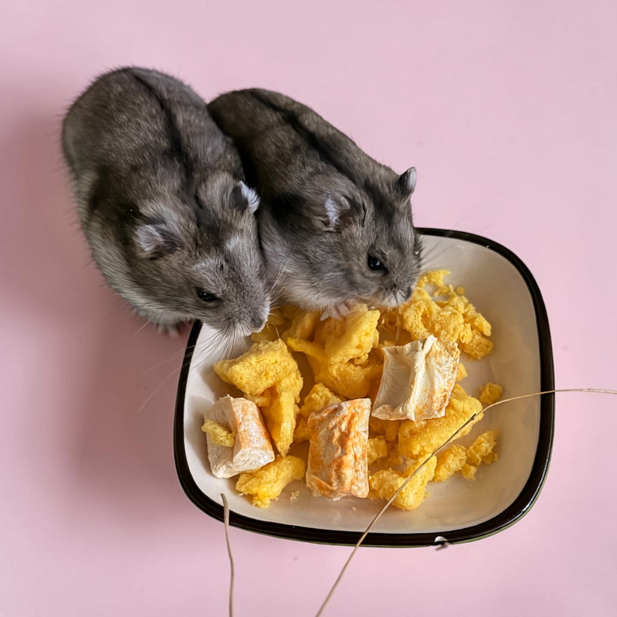 Scrambled Eggs & Steamed Carrot (freeze-dried)