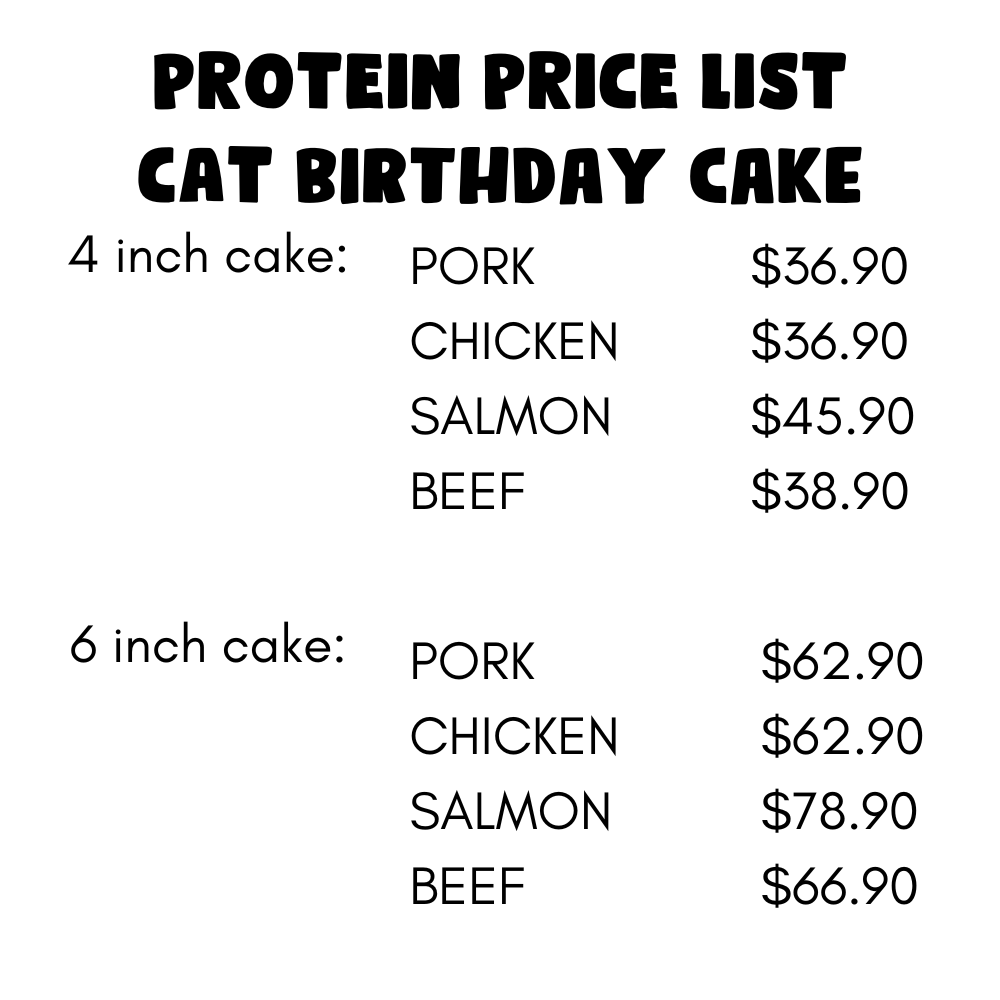 Cat Birthday Cake