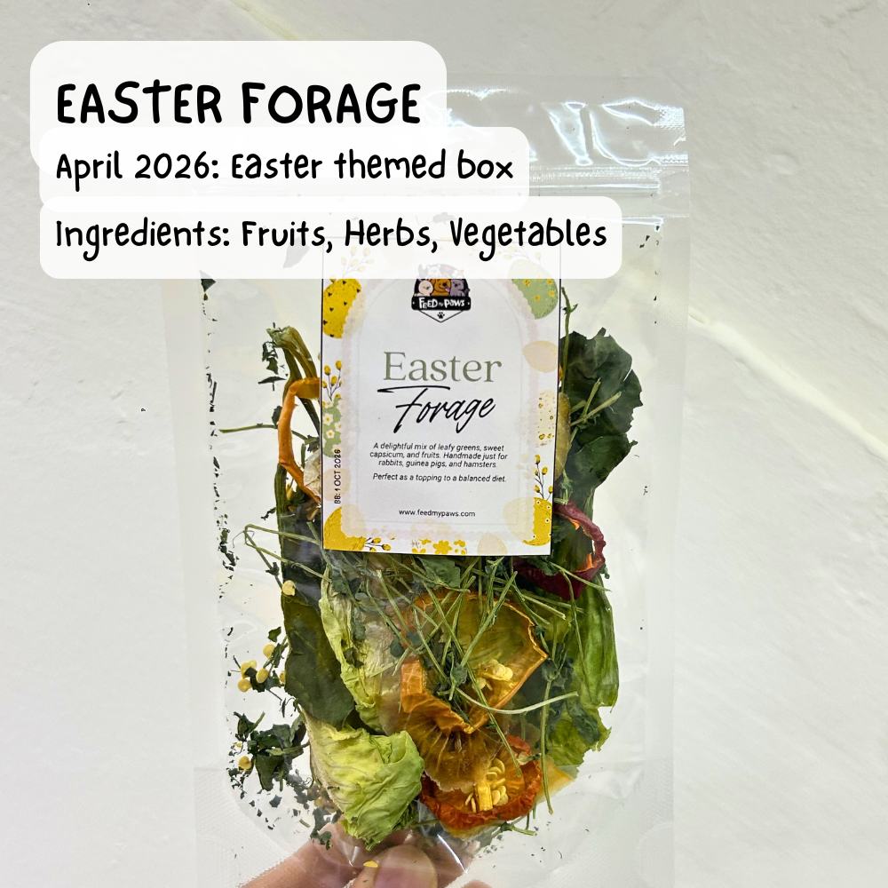 Easter Forage (Rabbit, Guinea Pig, Hamster)