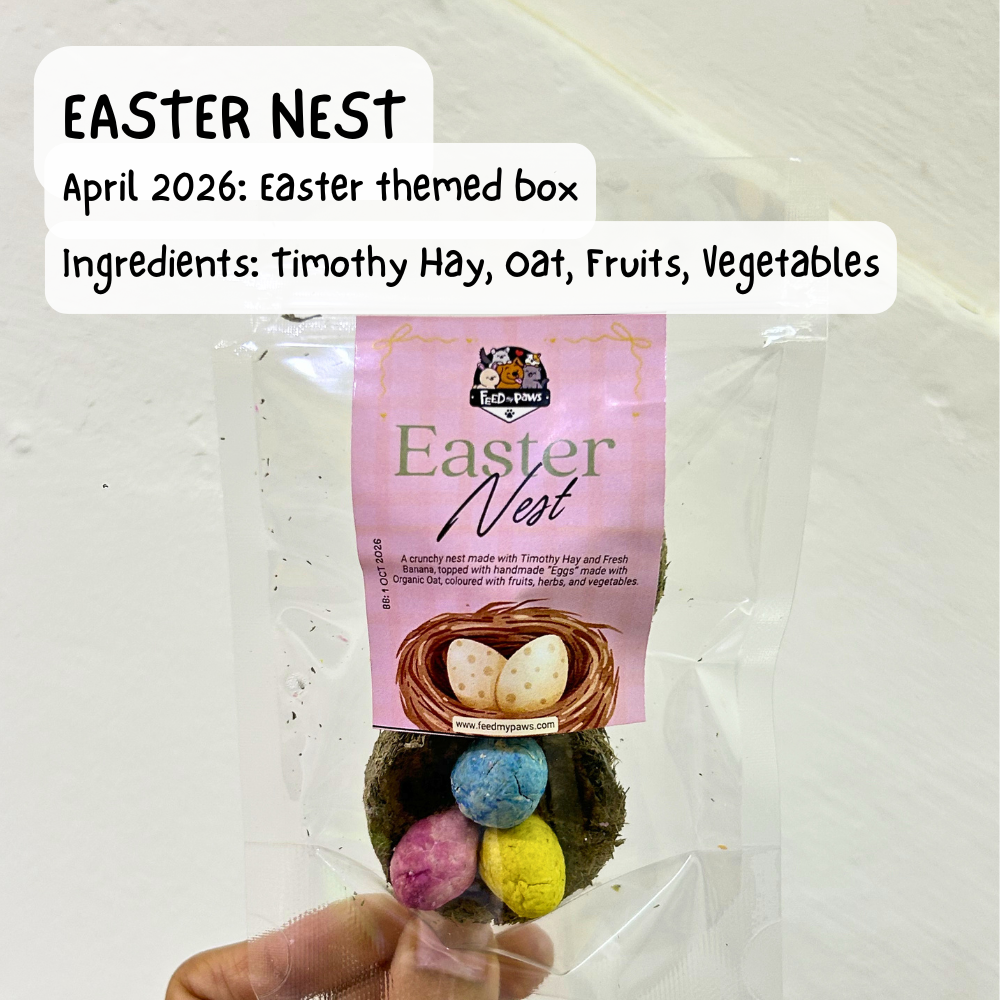 Easter Nest (Rabbit, Guinea Pig, Hamster)