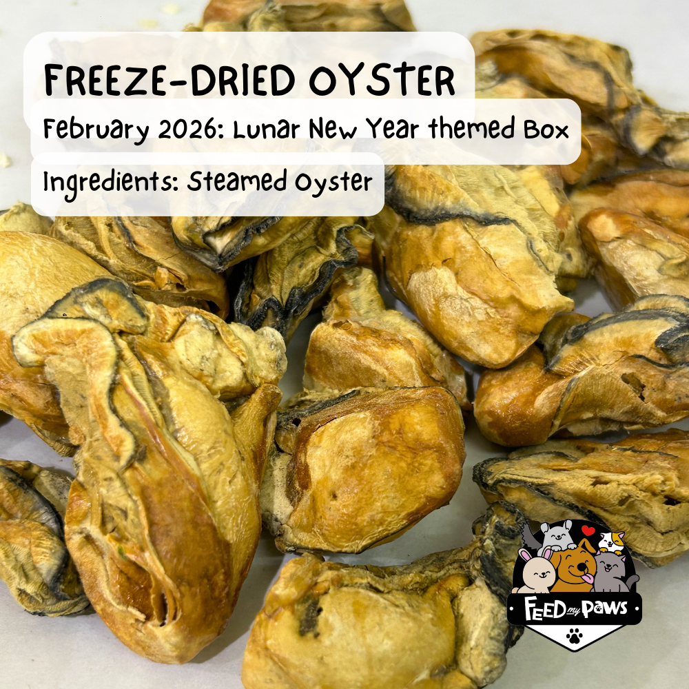 Freeze-dried Steamed Oyster (Dog, Cat)