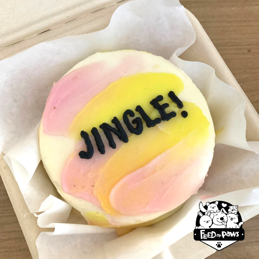 Feed My Paws SG | Dog Bakery Singapore | Birthday Bento Cake for Dog Puppy | Singapore Delivery