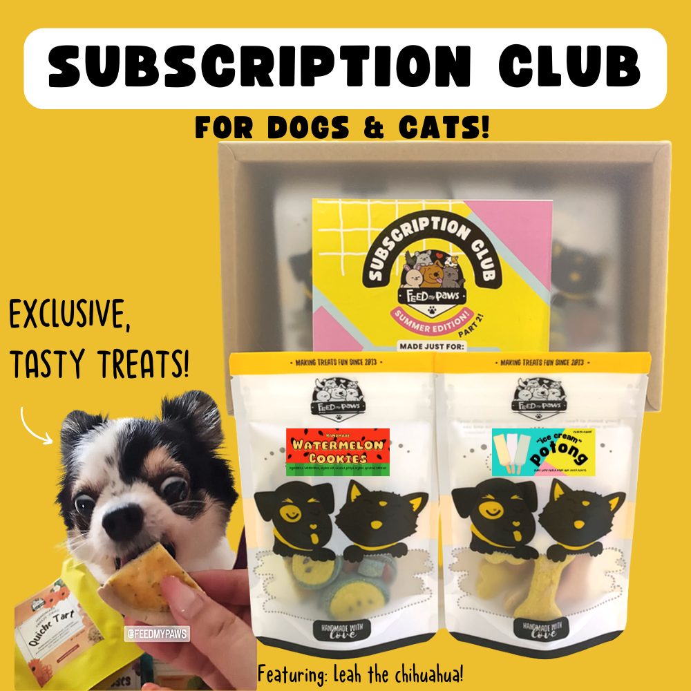 Feed My Paws Subscription Club: Subscription Box for Dogs & Cats! (Monthly)