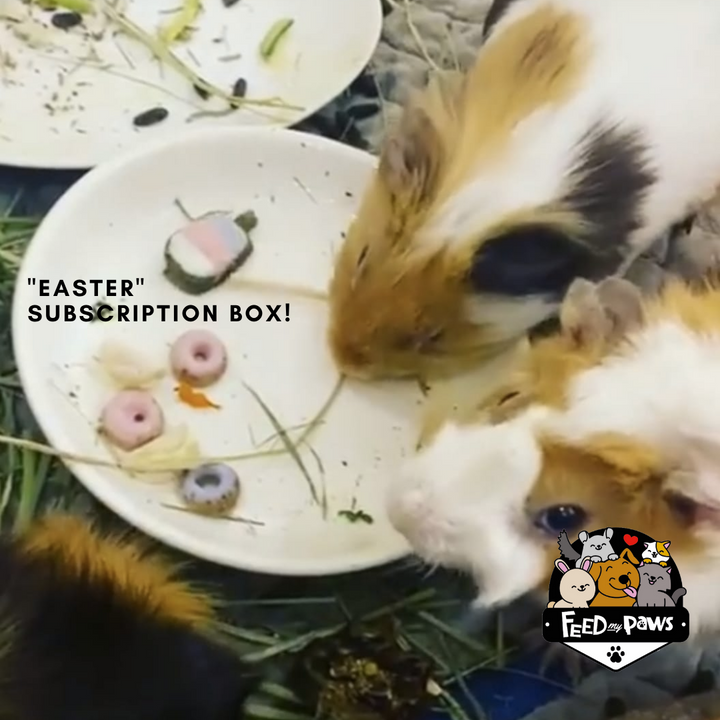 Feed My Paws Subscription Club: Subscription Box for Rabbits & Guinea Pigs! (Bi-monthly)