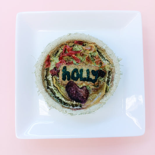 dehydrated birthday fruit cake tart, made in singapore for guinea pigs, rabbits, hamsters,