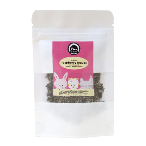 organic raspberry leaves herb supplement for hamsters rabbits guinea pigs and chinchillas in singapore