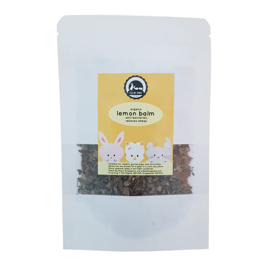 organic lemon balm herb supplement for hamsters rabbits guinea pigs and chinchillas in singapore