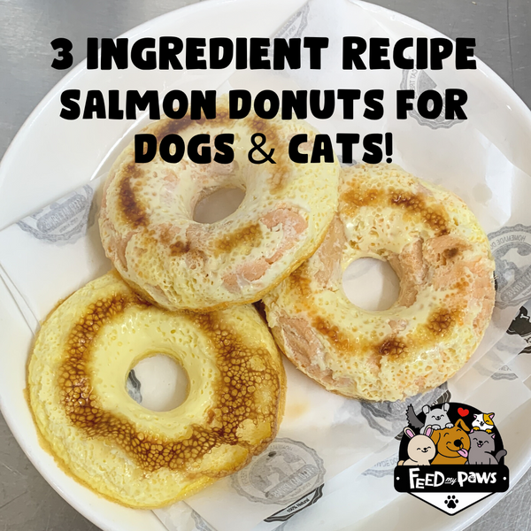 3 ingredient recipe for dogs and cats: Salmon Donuts!