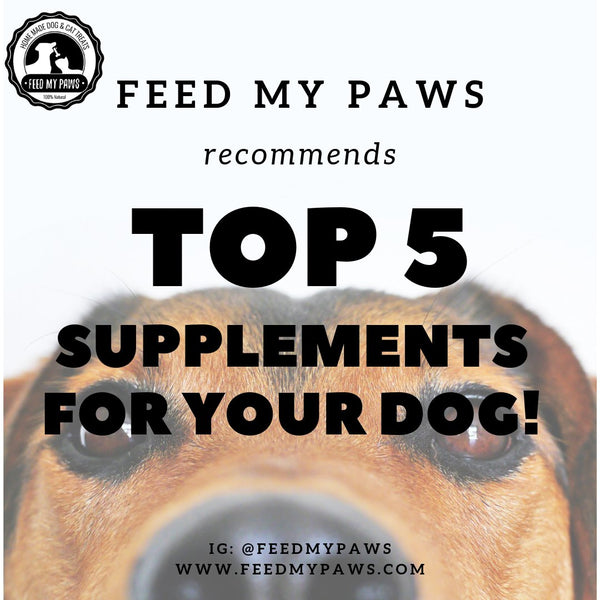 Top 5 Supplements for your Dog