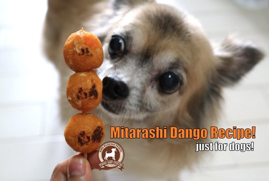 DIY FeedMyPaws Recipe: Mitarashi Dango for dogs!