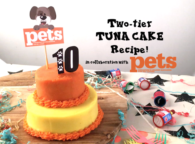 DIY FeedMyPaws Recipe: Tuna Birthday Cake!