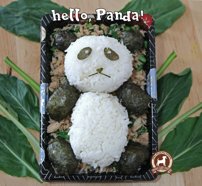 DIY FeedMyPaws Recipe: Panda Onigiri!