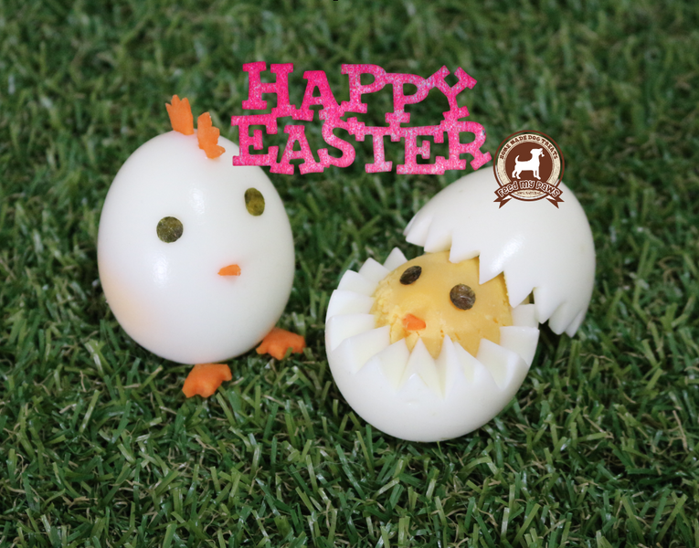DIY FeedMyPaws Recipe: Easter Egg Family!