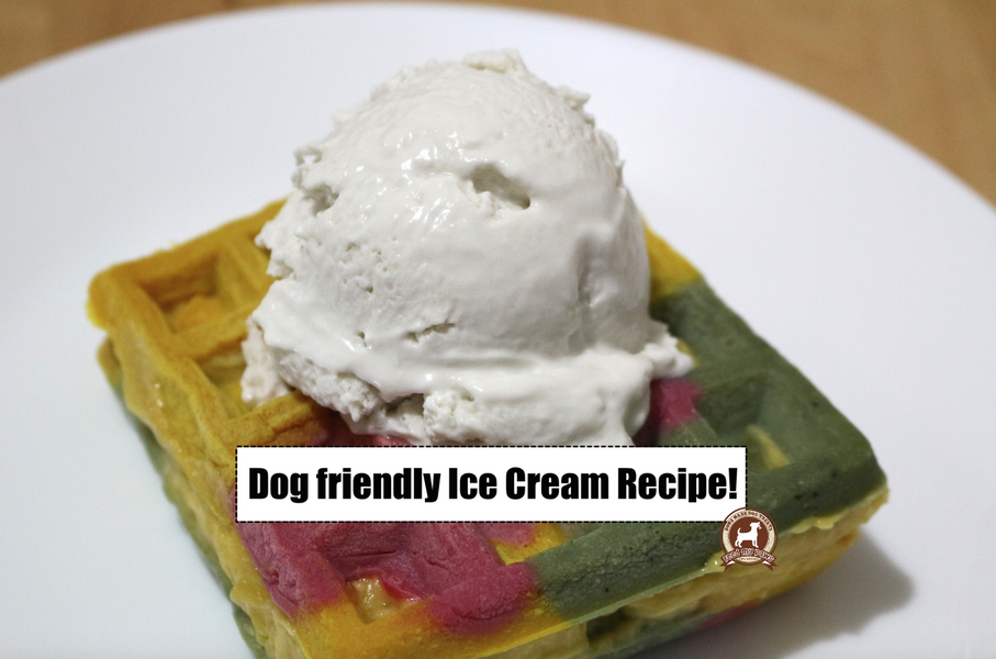 DIY FeedMyPaws Recipe: Dog-friendly Ice Cream!