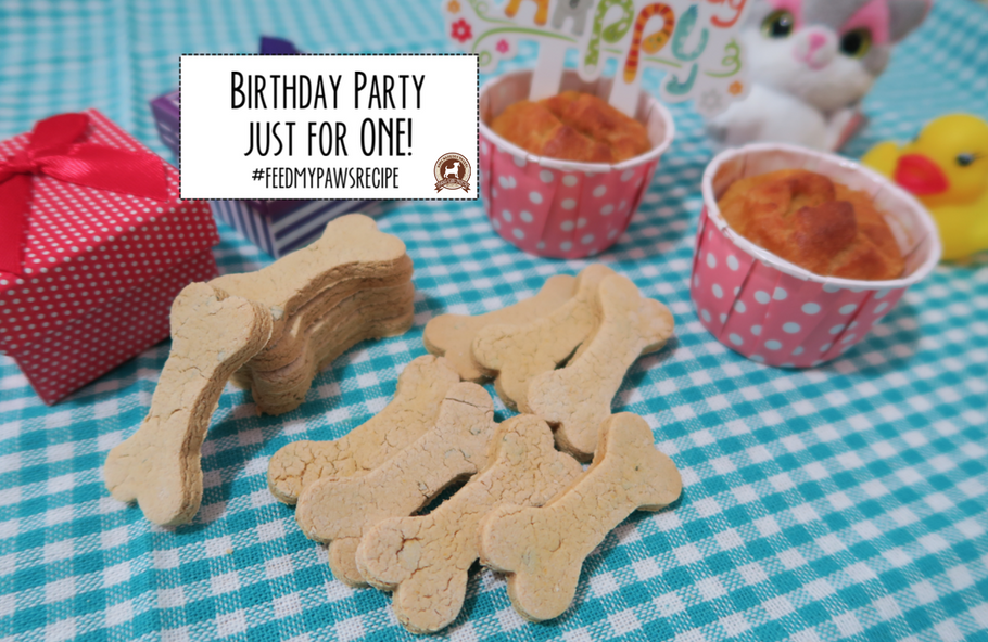 DIY Feed My Paws Recipe: Easy Birthday Cake and Cookies Recipe for One Dog!