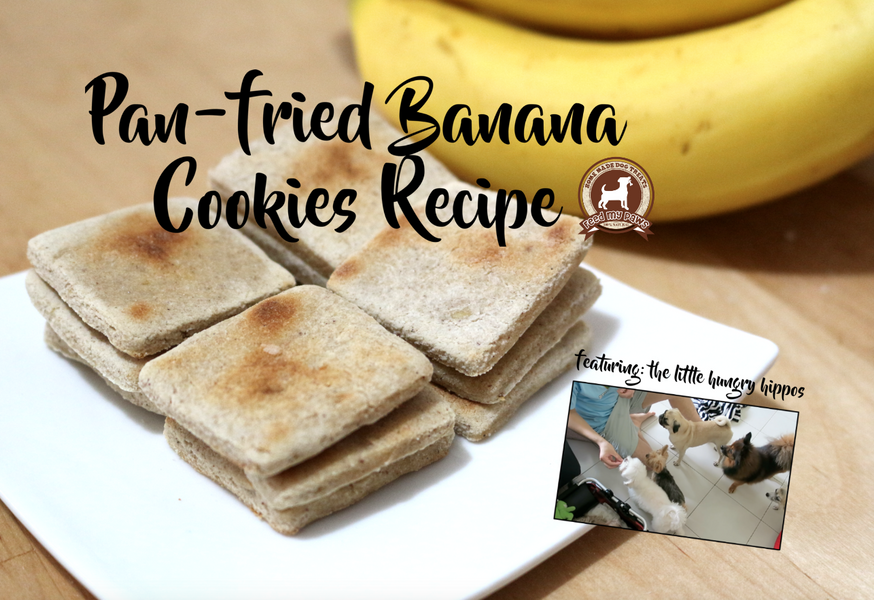 DIY Feed My Paws Recipe: Pan-fried Banana Cookies