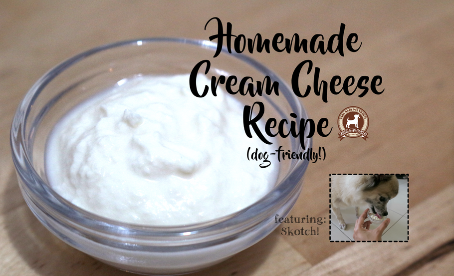 DIY FeedMyPaws Recipe: Homemade Cream Cheese for dogs!