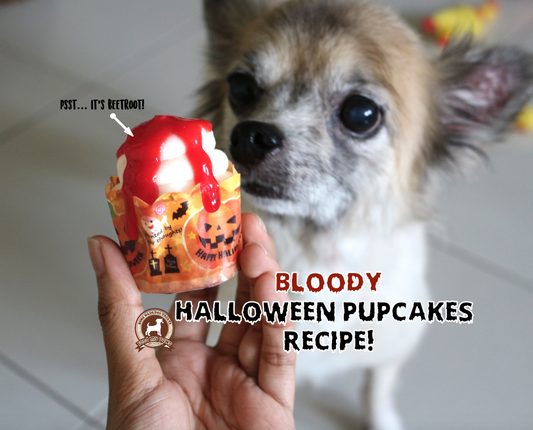 DIY FeedMyPaws Recipe: Bloody Halloween Pupcakes!