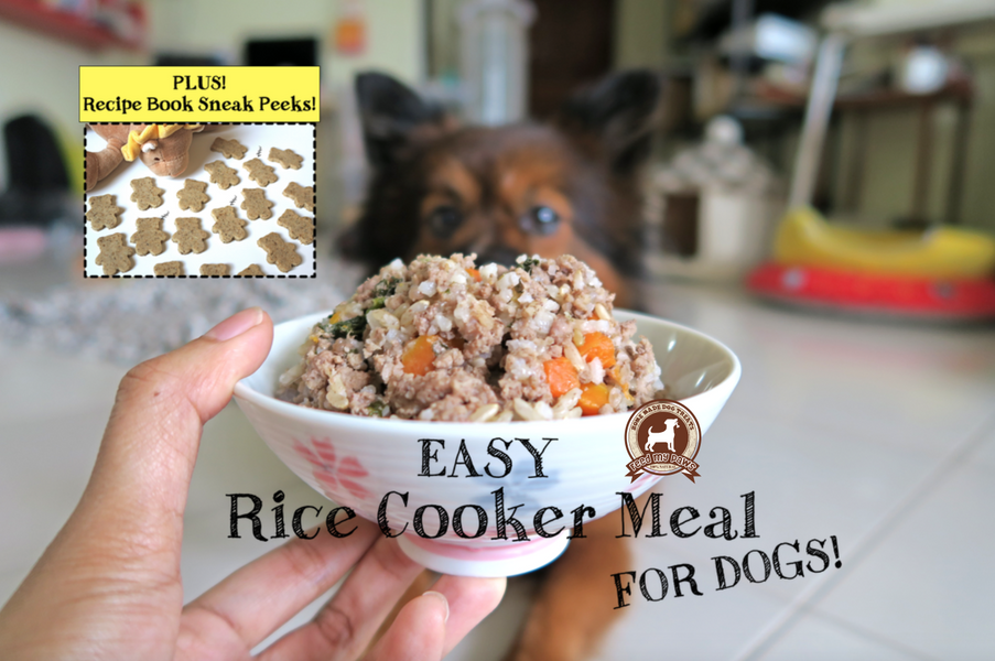 DIY Feed My Paws Recipe: Easy Rice Cooker Meal!