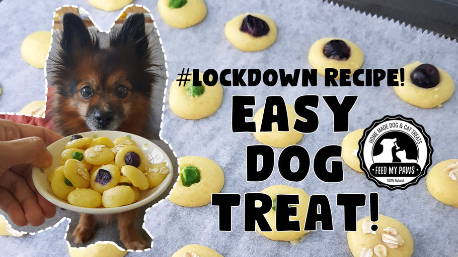 Lockdown Recipe! Easy Dog Treat! Just 4 Ingredients!