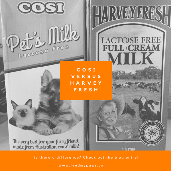 Cosi Milk versus Regular Milk: Is there a difference?