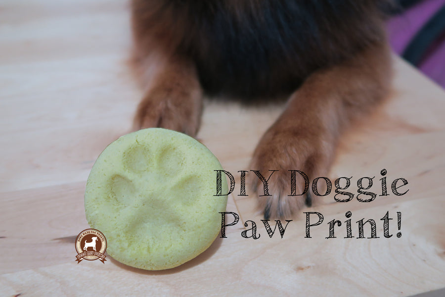 DIY FeedMyPaws Project: Dog Paw Print!