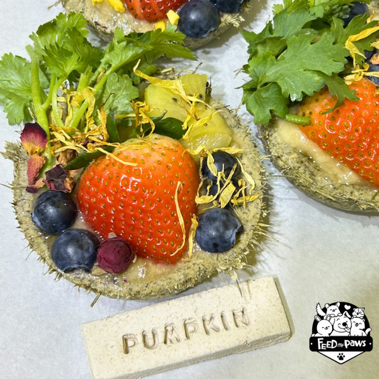 Birthday Fruit Cake (FRESH Tart for hamsters, rabbits, guinea pigs) [URGENT CAKE ORDER]