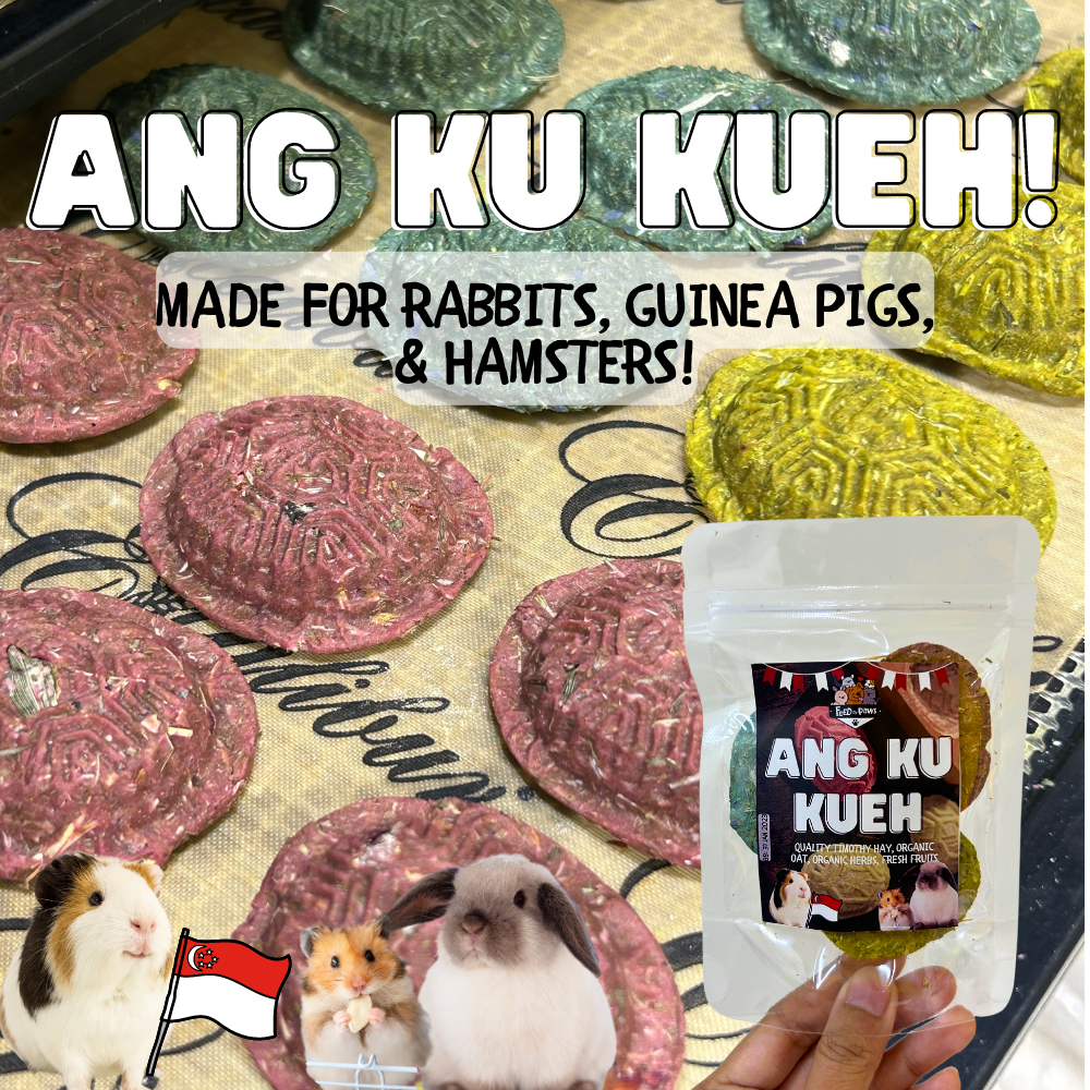 Herb and Hay Ang Ku Kueh for Rabbits, Guinea Pigs, & Hamsters!