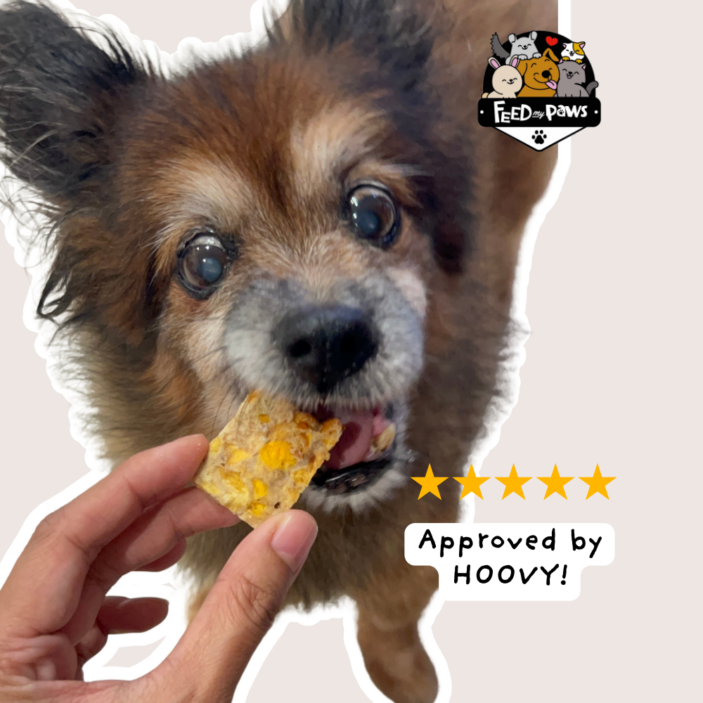 CNY 2026: Freeze-dried Pineapple Bak Kwa for Dogs & Cats (cooked product)