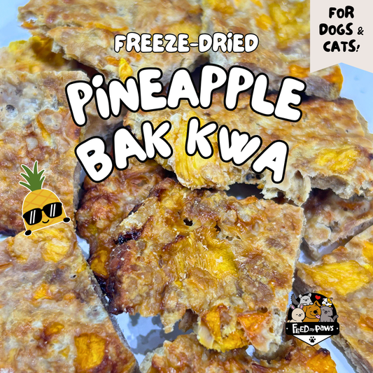 CNY 2026: Freeze-dried Pineapple Bak Kwa for Dogs & Cats (cooked product)