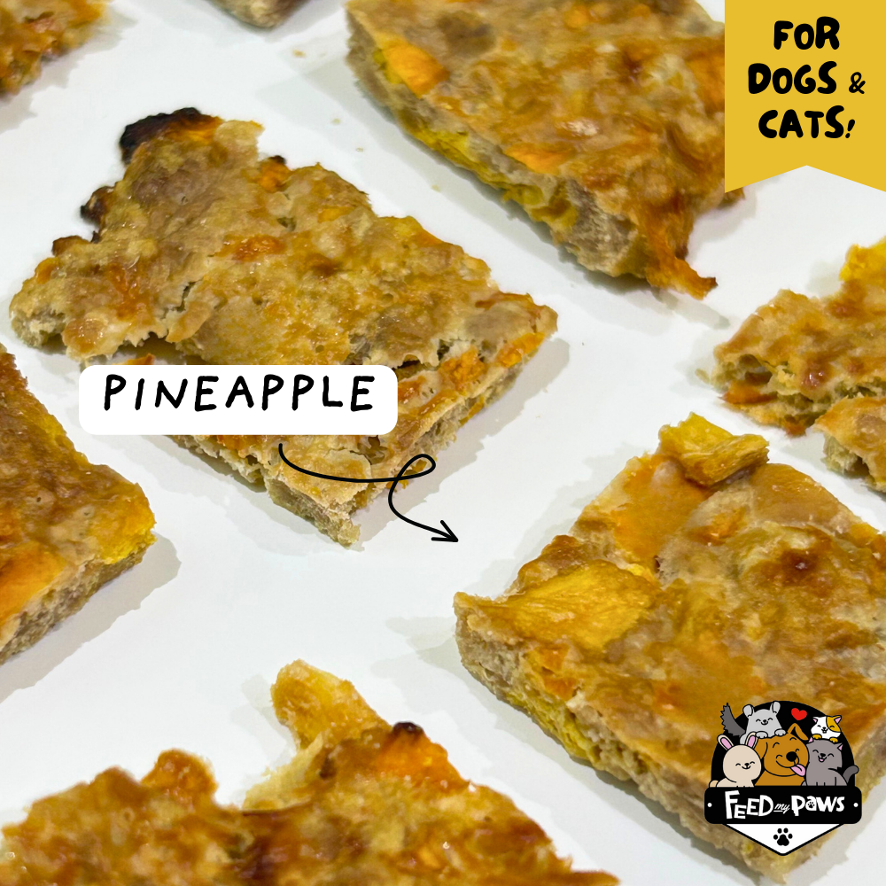 CNY 2026: Freeze-dried Pineapple Bak Kwa for Dogs & Cats (cooked product)