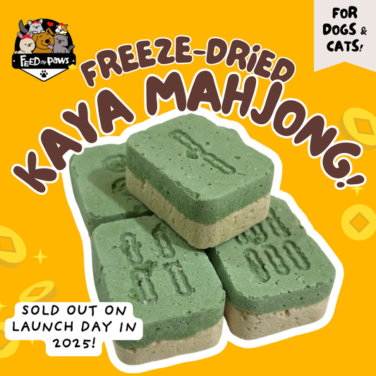 CNY 2026: Freeze-dried KAYA Mahjong Tiles for Dogs & Cats! BESTSELLER!