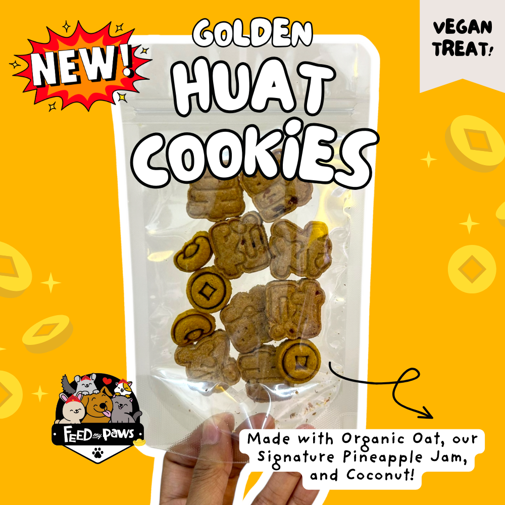 CNY 2026: Golden Huat Cookies! (a VEGAN treat for dogs, cats, rabbits, guinea pigs, and hamsters)
